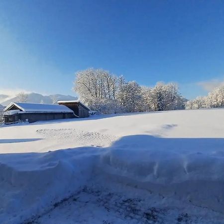 Ferienwohnung Geierstein Wackersberg Exteriör bild