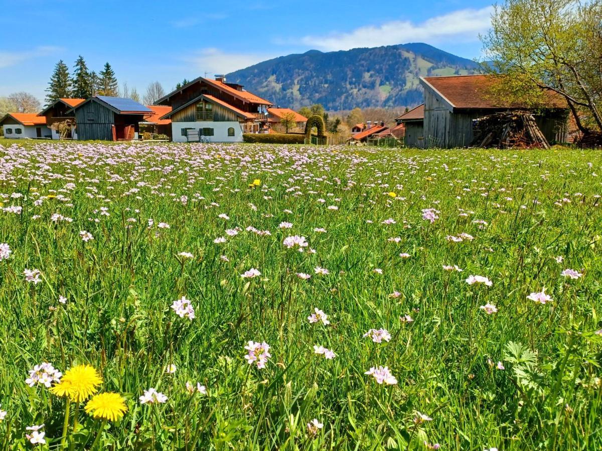 Ferienwohnung Geierstein Wackersberg Exteriör bild