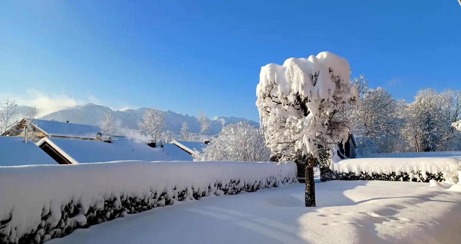 Ferienwohnung Geierstein Wackersberg Exteriör bild